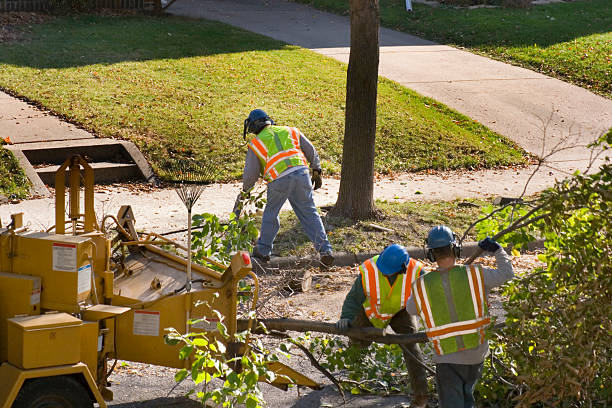 Best Lawn Watering Services  in Creve Coeur, IL